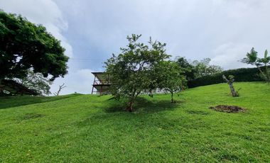 Arriendo/Venta de FINCAS en PEREIRA
