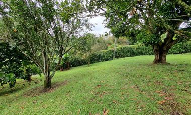 Arriendo/Venta de FINCAS en PEREIRA