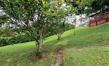 Arriendo/Venta de FINCAS en PEREIRA