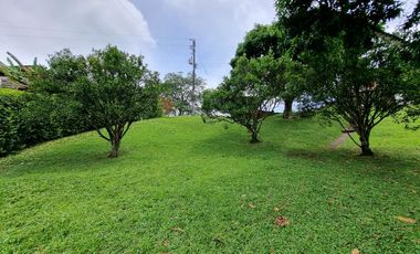 Arriendo/Venta de FINCAS en PEREIRA