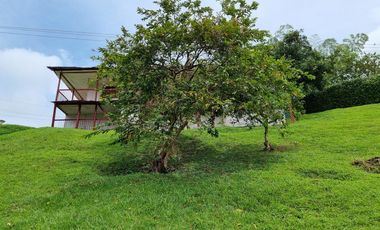 Arriendo/Venta de FINCAS en PEREIRA