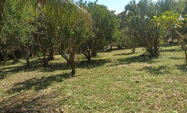 SE VENDE TERRENO EN BACALAR, CERCA DE LA LAGUNA Y CARRETERA FEDERAL