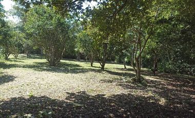 SE VENDE TERRENO EN BACALAR, CERCA DE LA LAGUNA Y CARRETERA FEDERAL