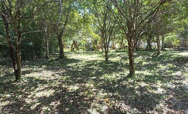 SE VENDE TERRENO EN BACALAR, CERCA DE LA LAGUNA Y CARRETERA FEDERAL