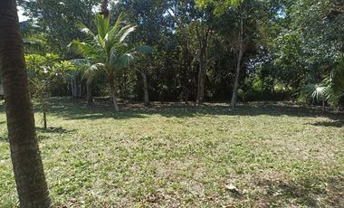 SE VENDE TERRENO EN BACALAR, CERCA DE LA LAGUNA Y CARRETERA FEDERAL