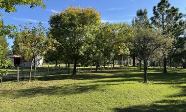 Casa en Colonia San Anselmo