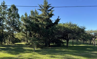 Casa en Colonia San Anselmo