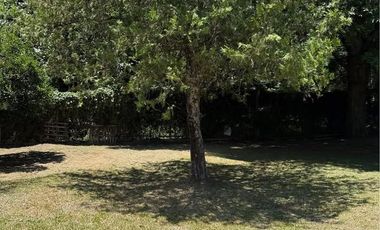 Villa Adela
