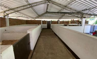 HACIENDA PARA CABALLISTAS O FAMILIAS AMANTES AL CAMPO