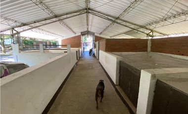 HACIENDA PARA CABALLISTAS O FAMILIAS AMANTES AL CAMPO