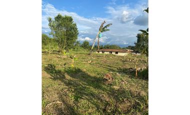 🌄 ¡Se venden lotes en Quimbaya, Quindío con escritura pública!