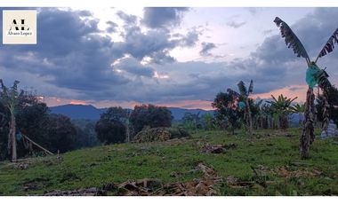 🌄 ¡Se venden lotes en Quimbaya, Quindío con escritura pública!