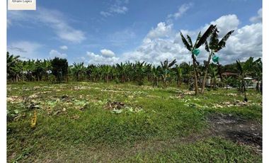 🌄 ¡Se venden lotes en Quimbaya, Quindío con escritura pública!