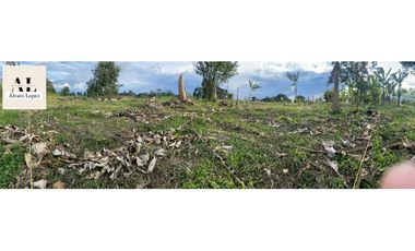 🌄 ¡Se venden lotes en Quimbaya, Quindío con escritura pública!