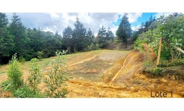 Lotes en guarne Antioquía vereda Yolombal