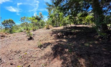 Lotes en guarne Antioquía vereda Yolombal