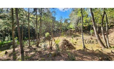 Lotes en guarne Antioquía vereda Yolombal