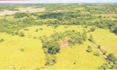 FINCA EN PANAM OESTE CHORRERA 33 HECTREAS DE EXTENSIÓN
