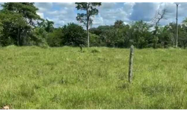 FINCA EN PANAM OESTE CHORRERA 33 HECTREAS DE EXTENSIÓN