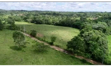 FINCA EN PANAM OESTE CHORRERA 33 HECTREAS DE EXTENSIÓN