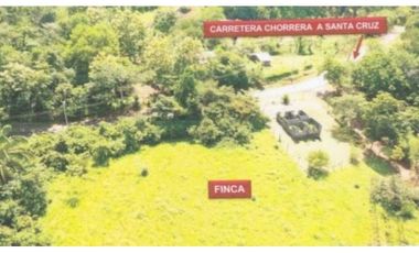 FINCA EN PANAM OESTE CHORRERA 33 HECTREAS DE EXTENSIÓN