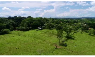 FINCA EN PANAM OESTE CHORRERA 33 HECTREAS DE EXTENSIÓN