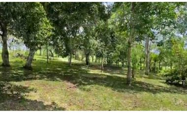FINCA EN PANAM OESTE CHORRERA 33 HECTREAS DE EXTENSIÓN