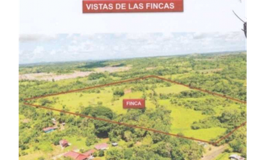 FINCA EN PANAM OESTE CHORRERA 33 HECTREAS DE EXTENSIÓN