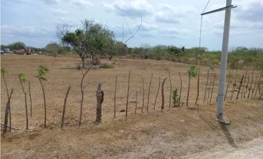 SEA CONFIABLE VENDE TERRENO EN PENONOME