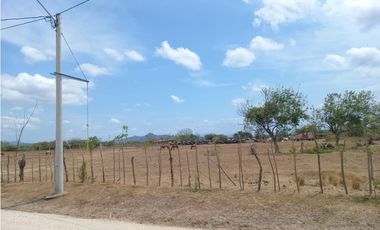 SEA CONFIABLE VENDE TERRENO EN PENONOME