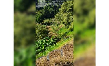 En Venta! Oportunidad Única 8 Hectáreas,  Potencial Turístico Boquete
