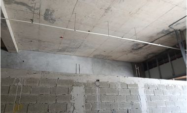 ALQUILER LOCAL COMERCIAL – TRANSSTMICA 83.11 M2