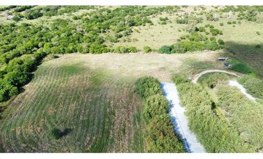 Vendo Granja Avicola en Concepción Del Uruguay, Entre Ríos.