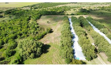 Vendo Granja Avicola en Concepción Del Uruguay, Entre Ríos.