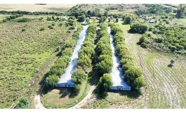 Vendo Granja Avicola en Concepción Del Uruguay, Entre Ríos.