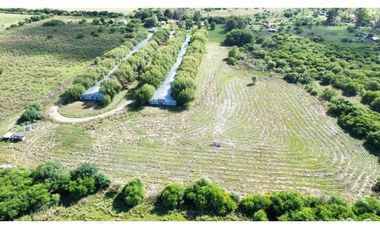 Vendo Granja Avicola en Concepción Del Uruguay, Entre Ríos.