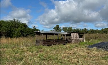 Vendo Granja Avicola en Concepción Del Uruguay, Entre Ríos.