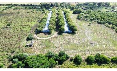 Vendo Granja Avicola en Concepción Del Uruguay, Entre Ríos.
