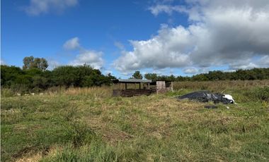 Vendo Granja Avicola en Concepción Del Uruguay, Entre Ríos.