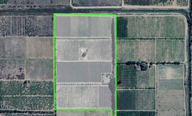 Finca con producción y galpón