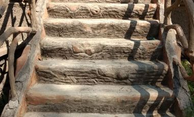 Histórica casa a reciclar en gran terreno. Mendoza