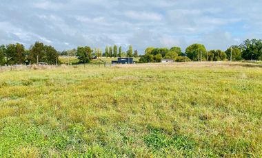 Parcela en venta en OSORNO