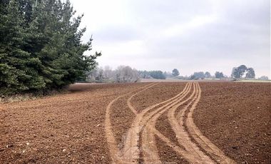 Terreno Construccion  en Venta en COD38729 FUNDO EL CARMEN - CAMINO TROMEN