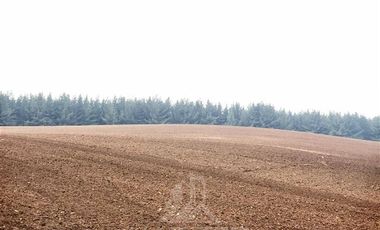 Terreno Construccion  en Venta en COD38729 FUNDO EL CARMEN - CAMINO TROMEN