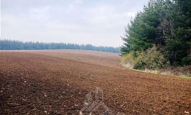 Terreno Construccion  en Venta en COD38729 FUNDO EL CARMEN - CAMINO TROMEN