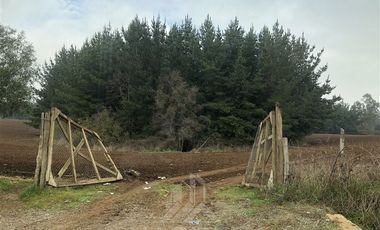 Terreno Construccion  en Venta en COD38729 FUNDO EL CARMEN - CAMINO TROMEN