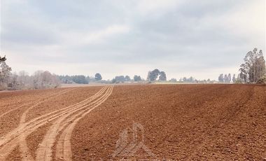 Terreno Construccion  en Venta en COD38729 FUNDO EL CARMEN - CAMINO TROMEN