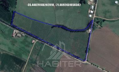 Agrícola en Venta en Camino Las Rastras