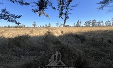 Agrícola en Venta en Camino Las Rastras
