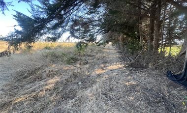 Agrícola en Venta en Camino Las Rastras